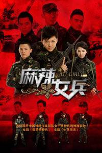 ����Ů�� DVD��
