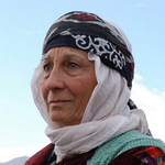 Damla Tokel